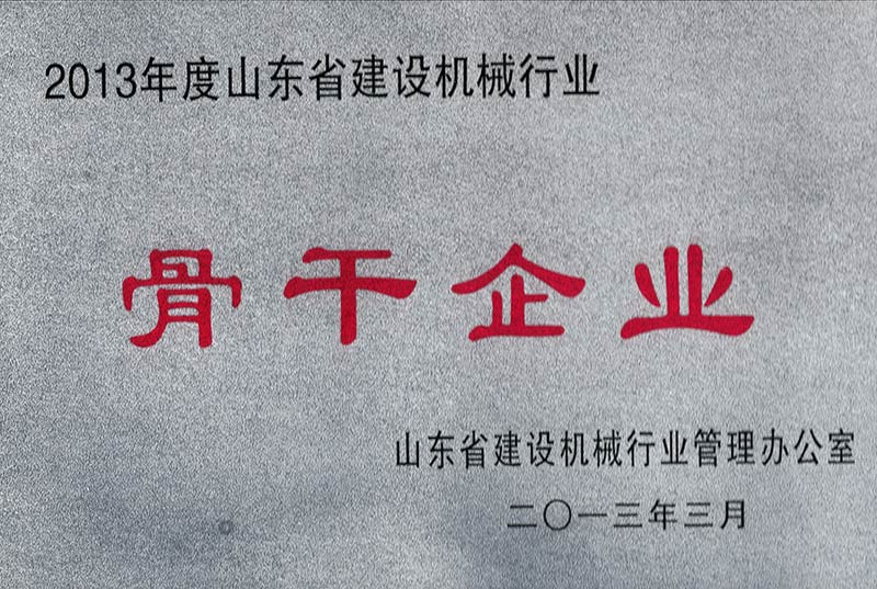2013骨干企業