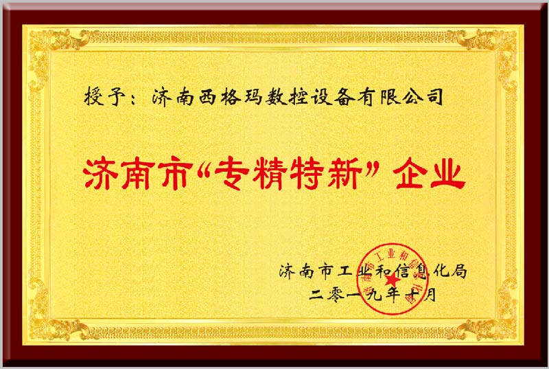 2019年市級專精特新